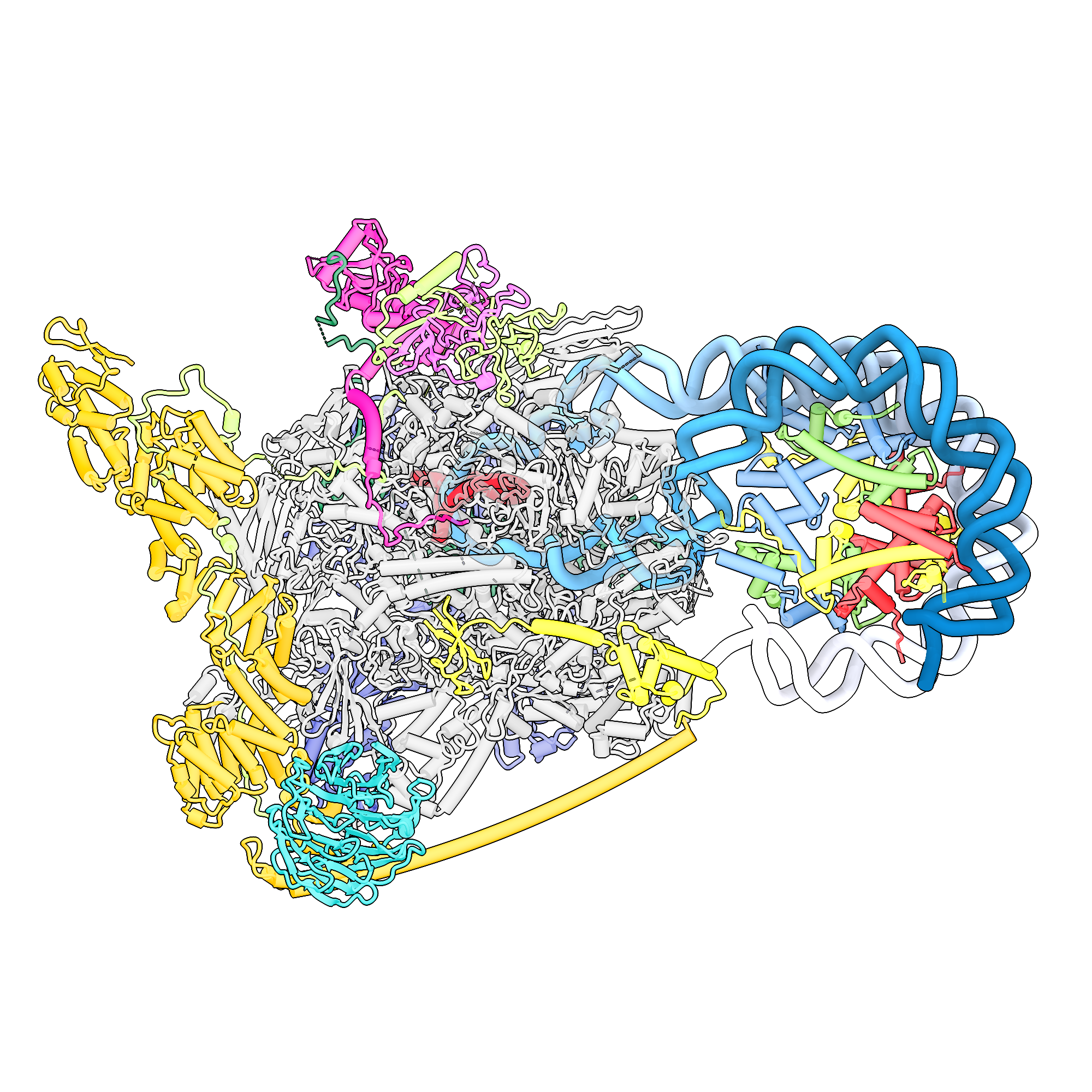 Nucleosome Retention Reproduction