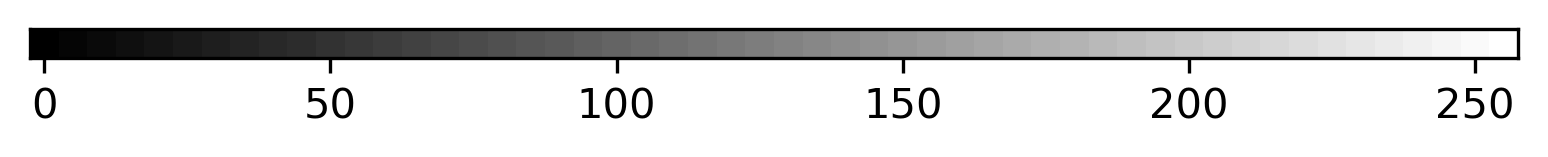 Grayscale Image Row